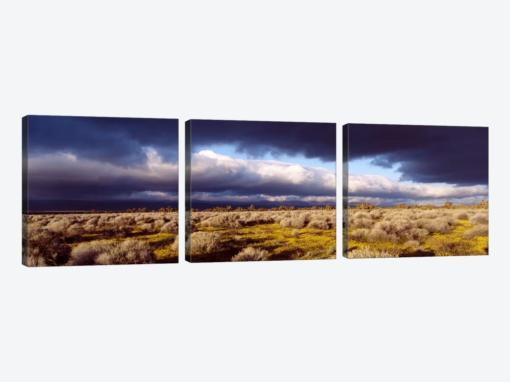 Ominous Sky, Mojave Desert, California, USA by Panoramic Images 3-piece Canvas Art