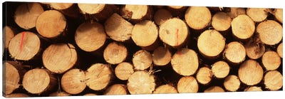 Lumbered Timber Pile, Germany Canvas Art Print - Germany Art