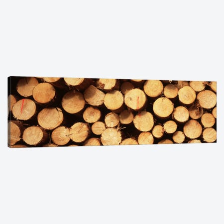 Lumbered Timber Pile, Germany Canvas Print #PIM1755} by Panoramic Images Canvas Wall Art