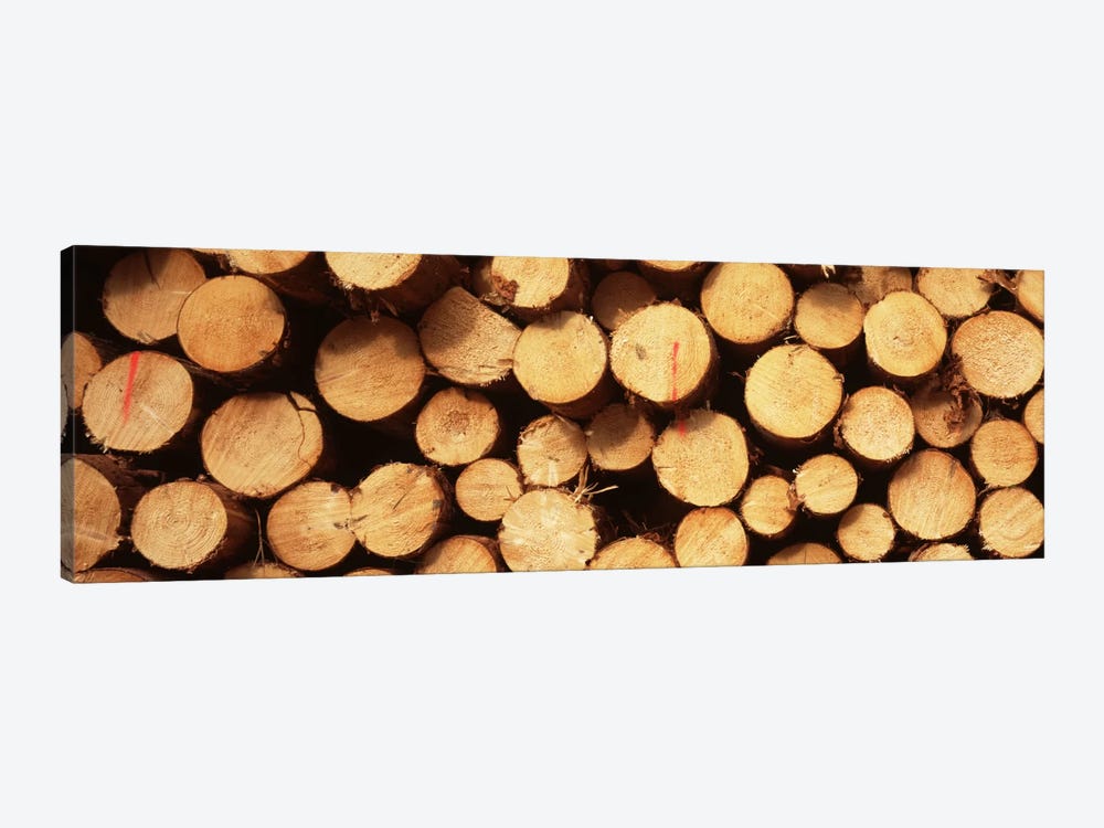 Lumbered Timber Pile, Germany by Panoramic Images 1-piece Canvas Print