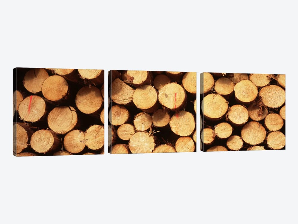 Lumbered Timber Pile, Germany by Panoramic Images 3-piece Canvas Print