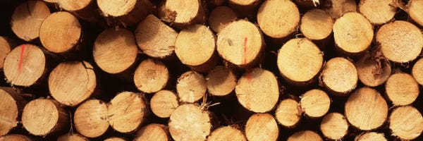 Germany: Lumbered Timber Pile, Germany by Panoramic Images