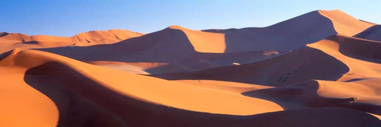 Namib Desert, Namibia, Africa by Panoramic Images wall art