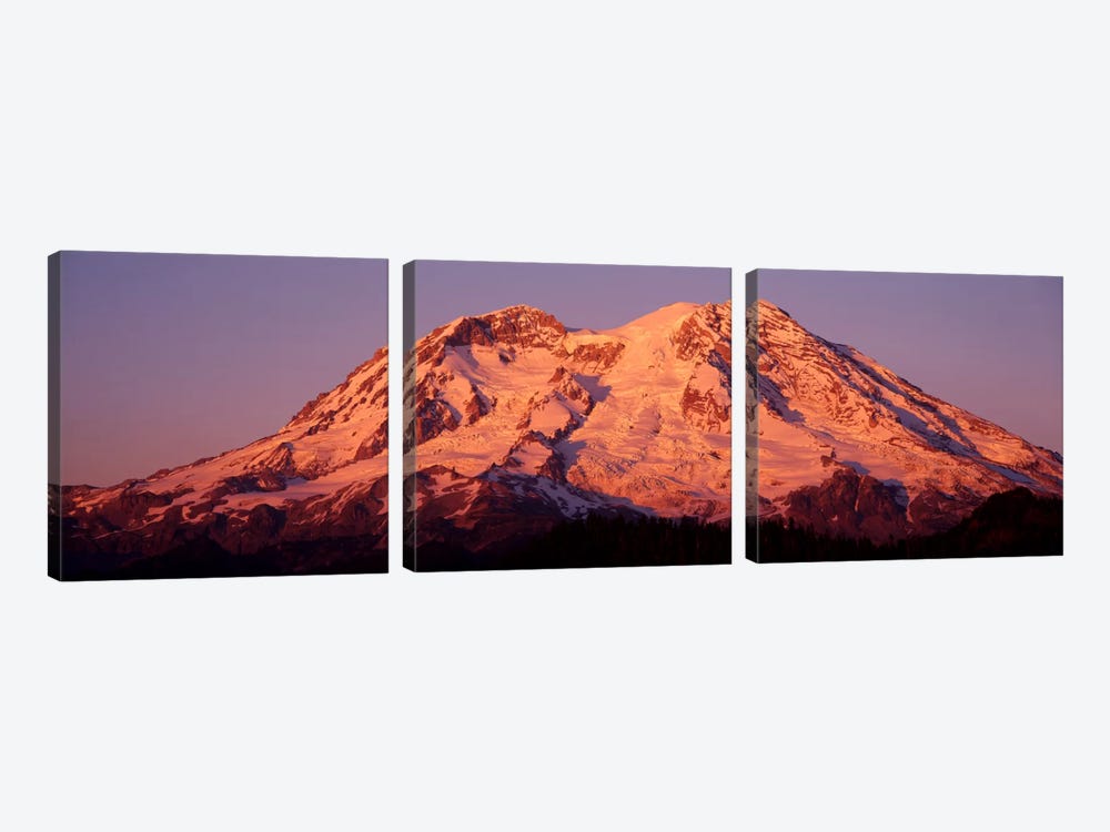USA, Washington, Mount Rainier National Park by Panoramic Images 3-piece Canvas Art Print