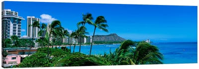 Palm Trees On The Beach, Waikiki Beach, Honolulu, Oahu, Hawaii, USA Canvas Art Print - Hawaii Art