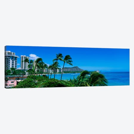 Palm Trees On The Beach, Waikiki Beach, Honolulu, Oahu, Hawaii, USA Canvas Print #PIM1829} by Panoramic Images Art Print