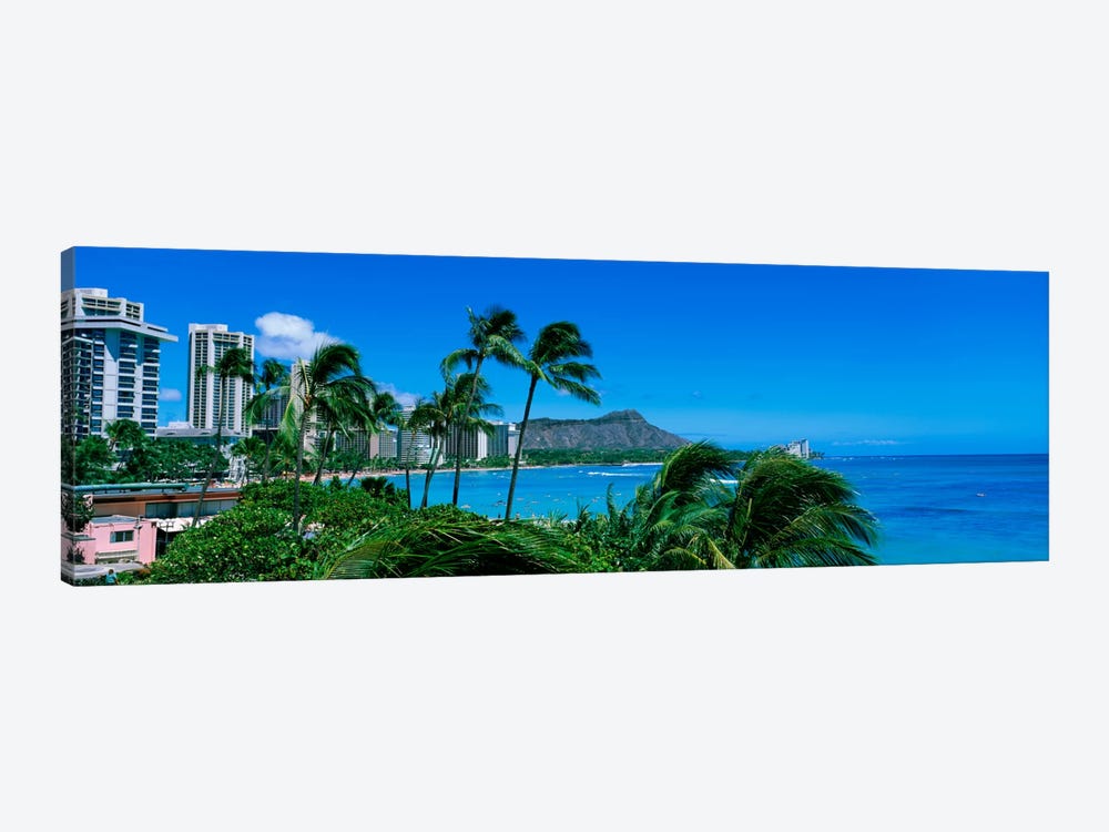Palm Trees On The Beach, Waikiki Beach, Honolulu, Oahu, Hawaii, USA by Panoramic Images 1-piece Canvas Art