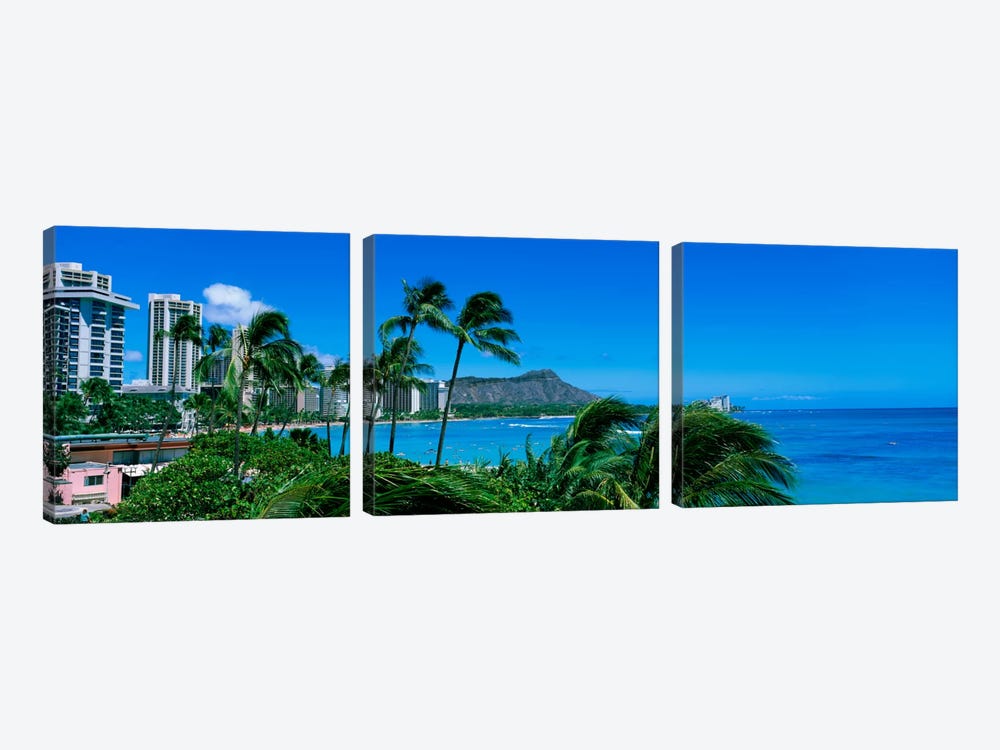 Palm Trees On The Beach, Waikiki Beach, Honolulu, Oahu, Hawaii, USA by Panoramic Images 3-piece Canvas Wall Art