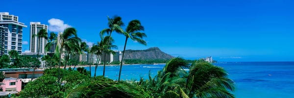 Honolulu: Palm Trees On The Beach, Waikiki Beach, Honolulu, Oahu, Hawaii, USA by Panoramic Images