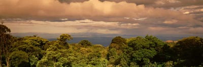 Monteverde Puntarenas Province Costa Rica by Panoramic Images canvas print