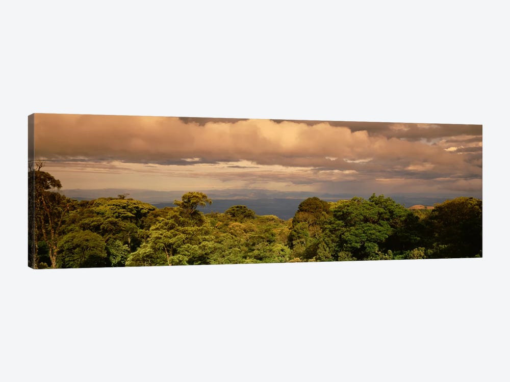 Monteverde Puntarenas Province Costa Rica by Panoramic Images 1-piece Canvas Print