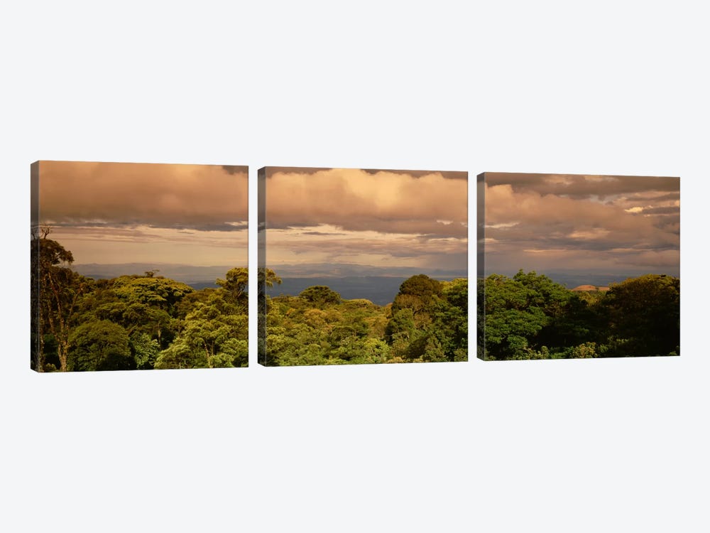 Monteverde Puntarenas Province Costa Rica by Panoramic Images 3-piece Canvas Art Print