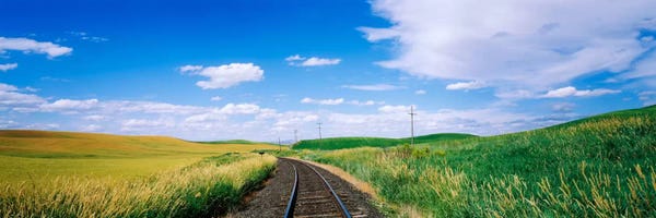 Railroads: Railroad track passing through a field, Whitman County, Washington State, USA by Panoramic Images