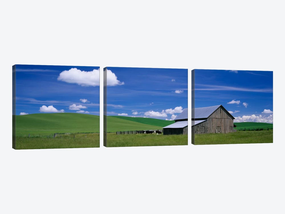 Barn in a wheat field, Washington State, USA by Panoramic Images 3-piece Art Print