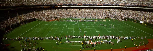 Pennsylvania: Spectator Watching A Baseball Game III, Veterans Stadium, Philadelphia, Pennsylvania, USA by Panoramic Images