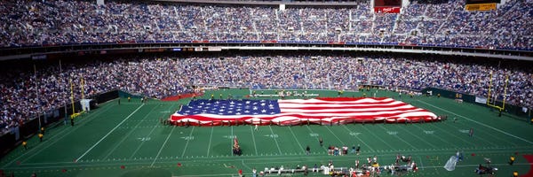 Pennsylvania: Spectator Watching A Baseball Game IV, Veterans Stadium, Philadelphia, Pennsylvania, USA by Panoramic Images