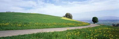 Road Fields Aargau Switzerland by Panoramic Images multi panel art