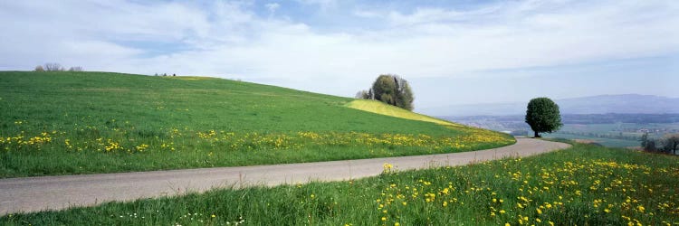 Road Fields Aargau Switzerland