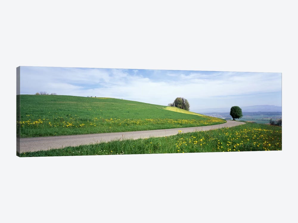 Road Fields Aargau Switzerland by Panoramic Images 1-piece Canvas Print