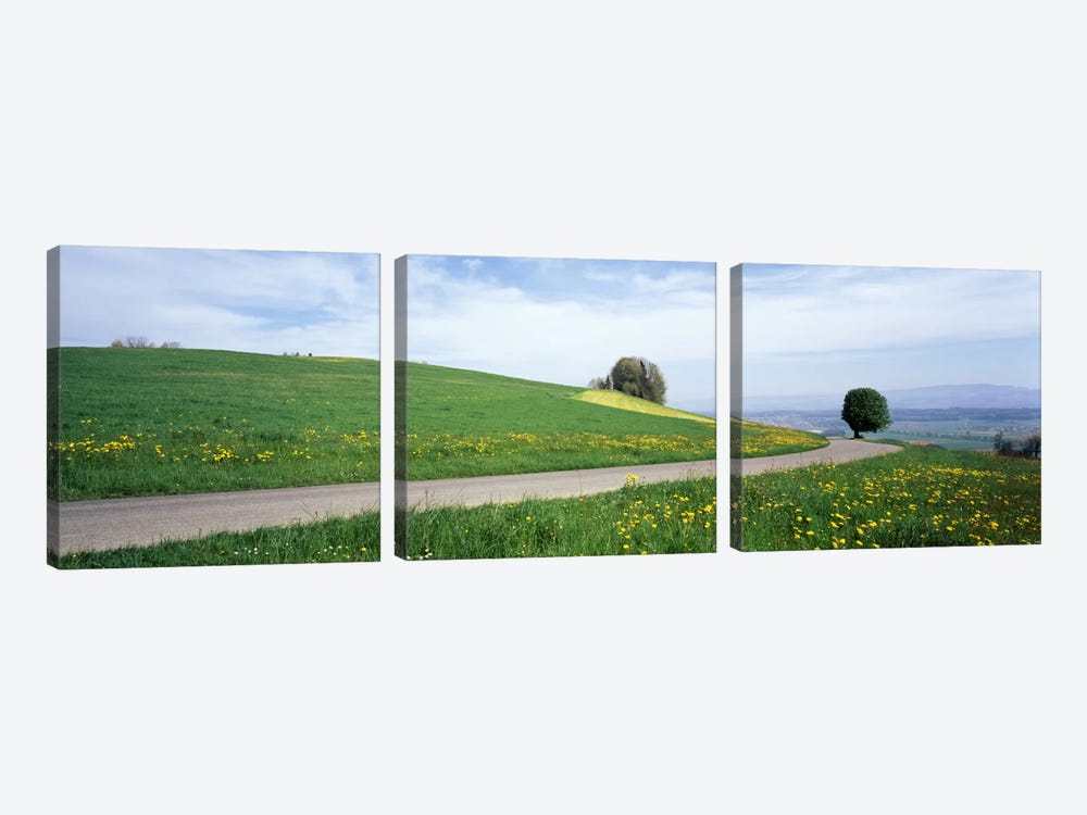 Road Fields Aargau Switzerland by Panoramic Images 3-piece Canvas Art Print