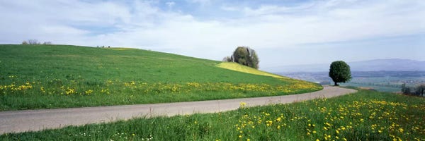 Switzerland: Road Fields Aargau Switzerland by Panoramic Images