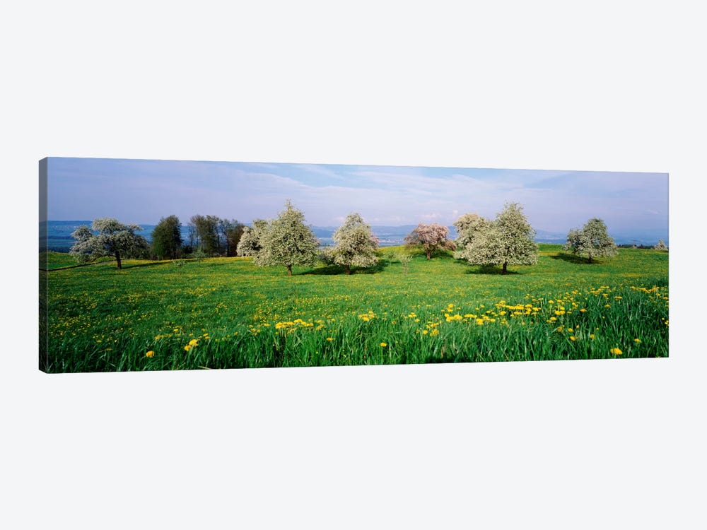 Peartrees Fields Aargau Switzerland by Panoramic Images 1-piece Canvas Wall Art