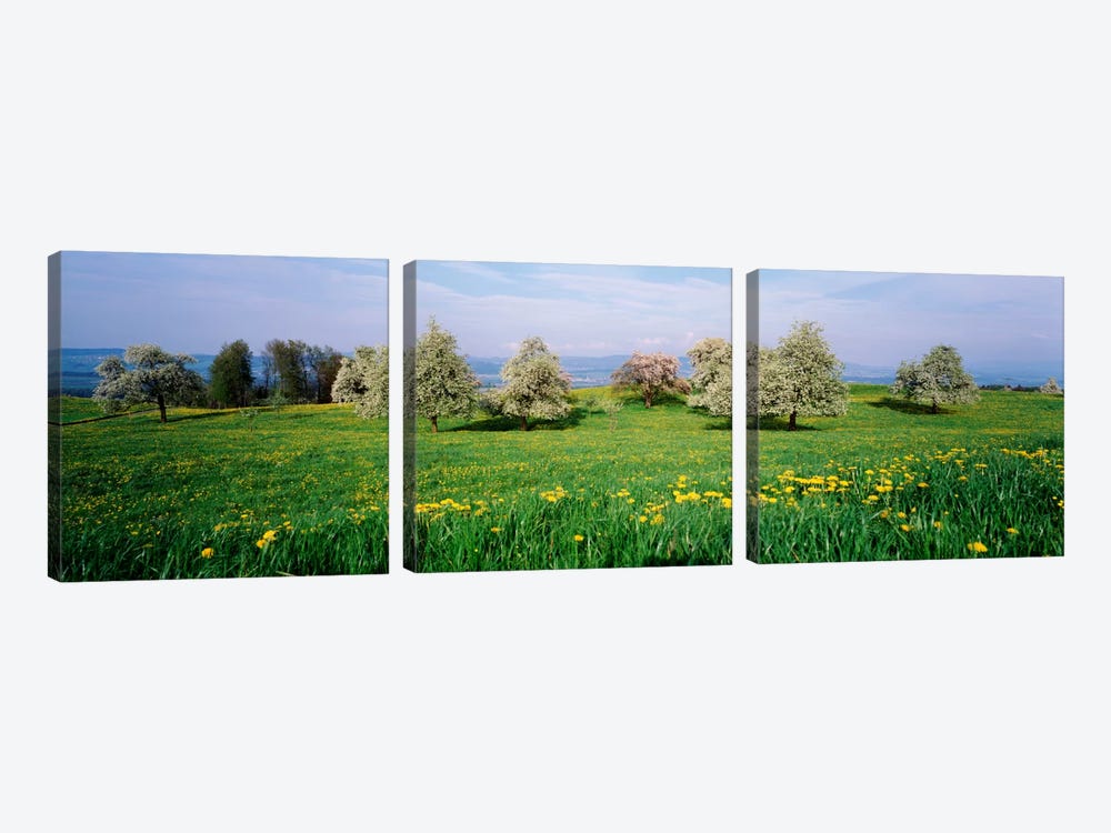 Peartrees Fields Aargau Switzerland by Panoramic Images 3-piece Canvas Wall Art