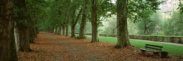 City Park w/ bench in autumn Tubingen Germany