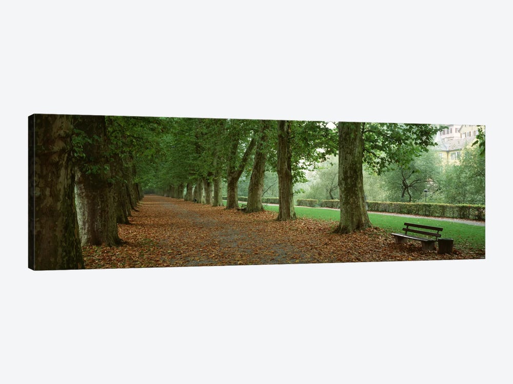 City Park w/ bench in autumn Tubingen Germany by Panoramic Images 1-piece Art Print