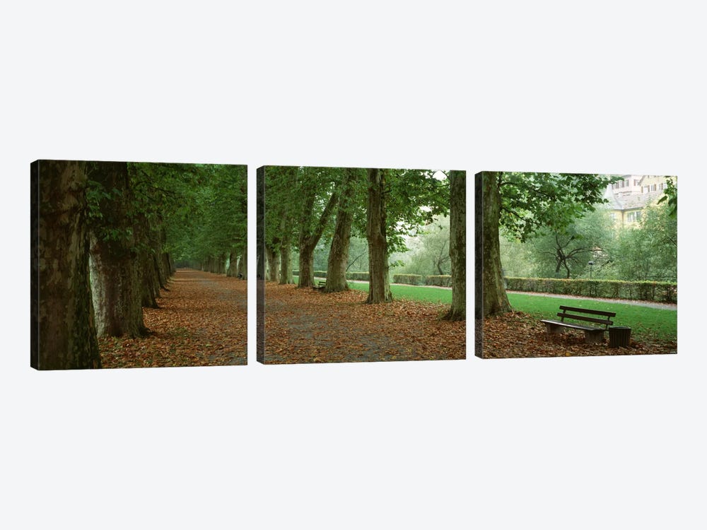 City Park w/ bench in autumn Tubingen Germany by Panoramic Images 3-piece Canvas Print