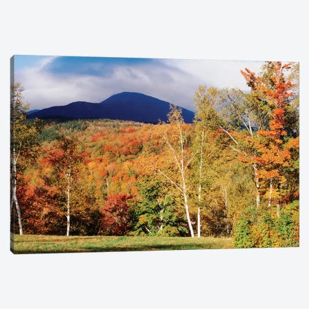 Autumn Landscape, White Mountain National Forest, New Hampshire, USA Canvas Print #PIM1942} by Panoramic Images Canvas Art