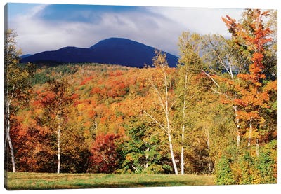 Autumn Landscape, White Mountain National Forest, New Hampshire, USA Canvas Art Print - New Hampshire