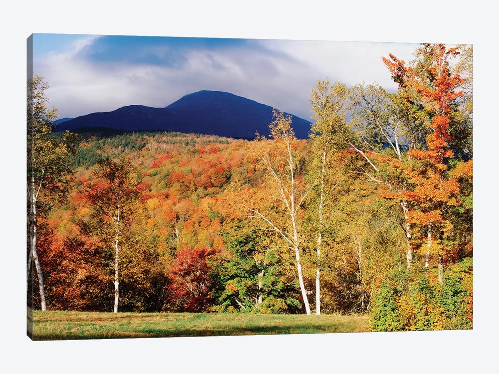 Autumn Landscape, White Mountain National Forest, New Hampshire, USA by Panoramic Images 1-piece Canvas Artwork
