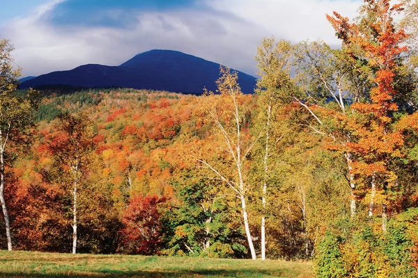 New Hampshire: Autumn Landscape, White Mountain National Forest, New Hampshire, USA by Panoramic Images
