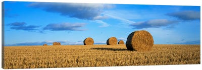 Hay Bales, Scotland, United Kingdom Canvas Art Print - Country Scenic Photography