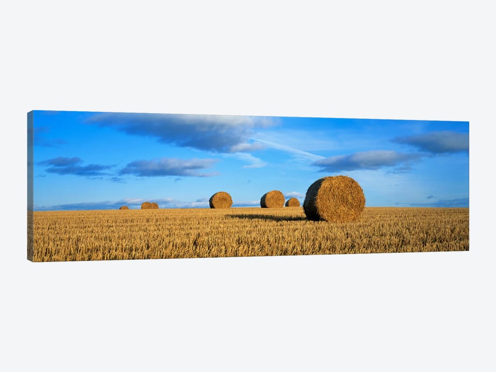 Hay Bales, Scotland, United Kingdom by Panoramic Images 1-piece Canvas Wall Art
