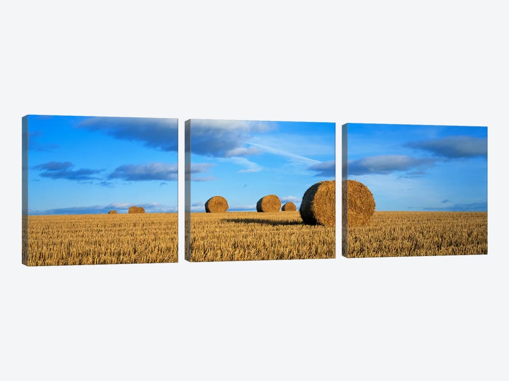 Hay Bales, Scotland, United Kingdom by Panoramic Images 3-piece Canvas Artwork