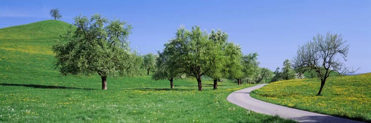 Road Cantone Zug Switzerland