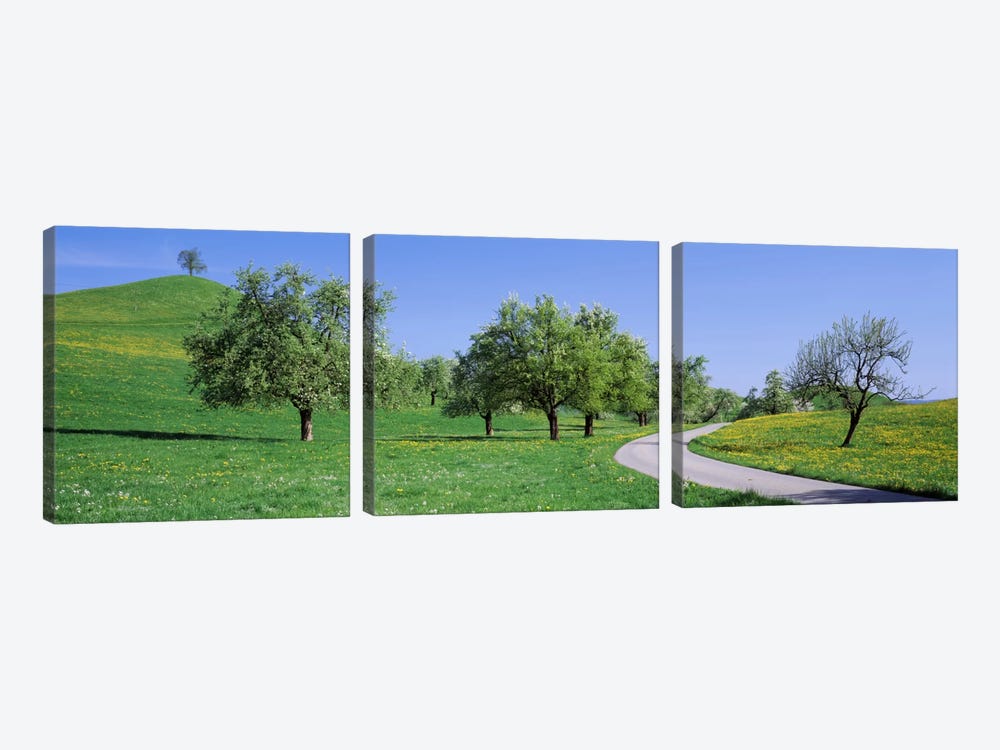 Road Cantone Zug Switzerland by Panoramic Images 3-piece Canvas Artwork
