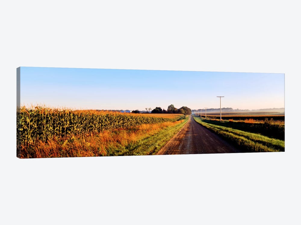Rural Dirt Road, Illinois, USA by Panoramic Images 1-piece Canvas Art