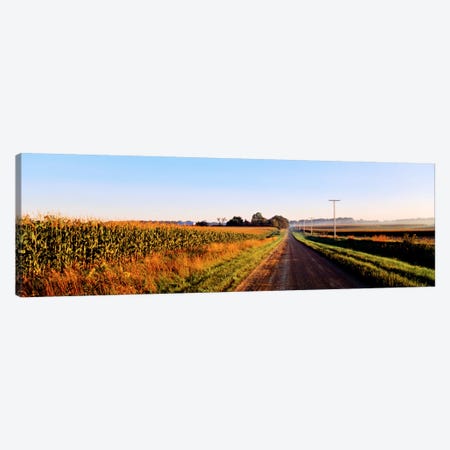 Rural Dirt Road, Illinois, USA Canvas Print #PIM19} by Panoramic Images Canvas Art Print