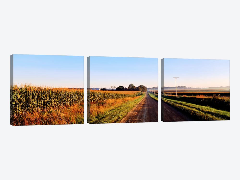 Rural Dirt Road, Illinois, USA by Panoramic Images 3-piece Canvas Wall Art