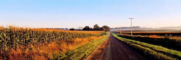 Rural Dirt Road, Illinois, USA
