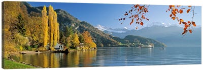 Vierwaldstattersee (Lake Lucerne), Vitznau, Lucerne, Switzerland Canvas Art Print - Switzerland Art