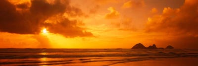 Silhouette of rock formations in water, Northern California, California, USA by Panoramic Images multi panel art