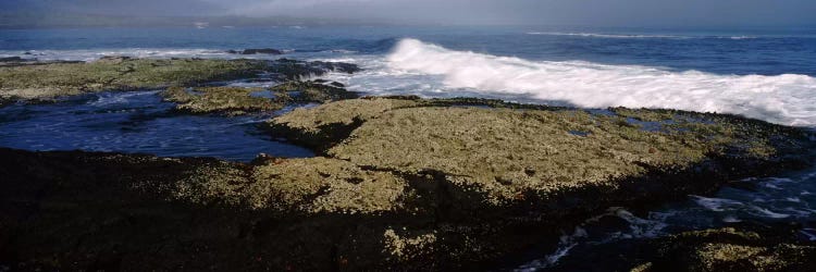 Rock formations at the coastFernandina Island, Galapagos Islands, Ecuador by Panoramic Images wall art