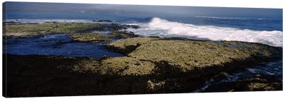 Rock formations at the coastFernandina Island, Galapagos Islands, Ecuador Canvas Art Print - Ecuador