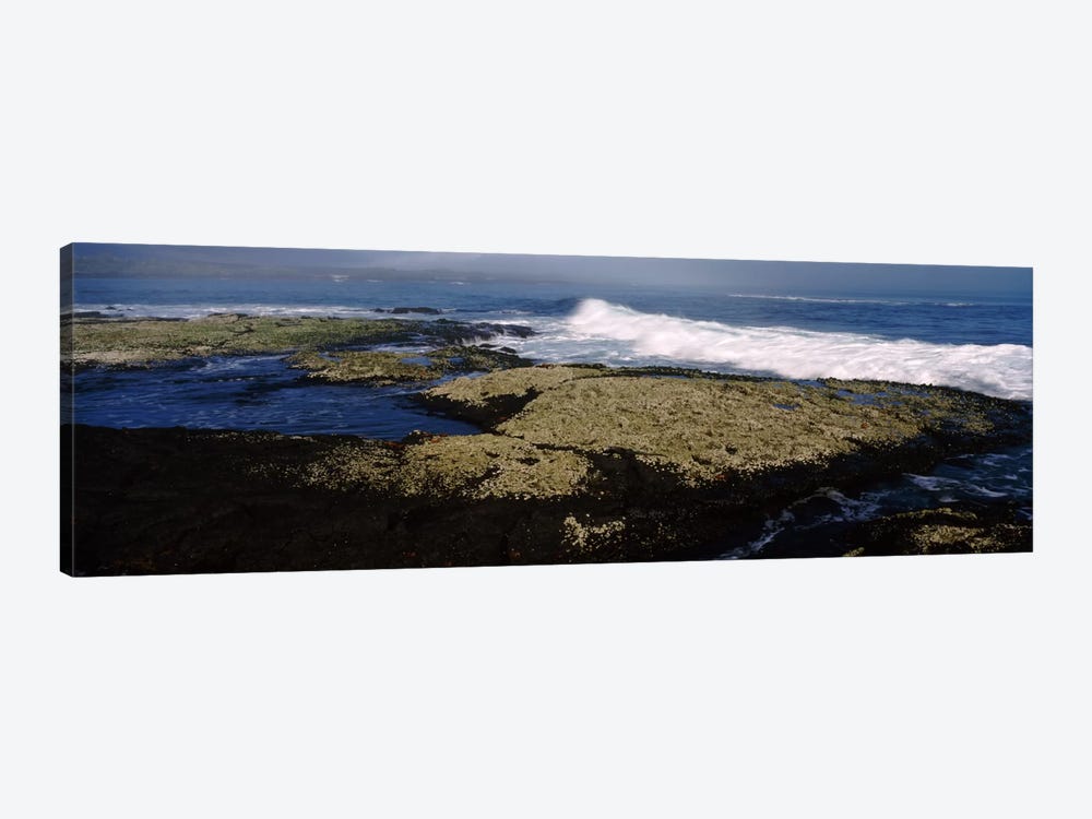 Rock formations at the coastFernandina Island, Galapagos Islands, Ecuador by Panoramic Images 1-piece Canvas Art Print