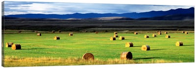 Field Of Haystacks, Jackson County, Colorado, USA Canvas Art Print - Colorado Art