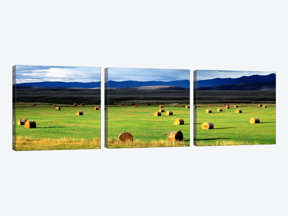 Field Of Haystacks, Jackson County, Colorado, USA by Panoramic Images 3-piece Canvas Art